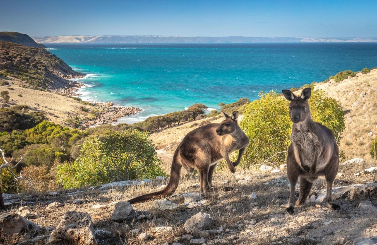 Sea Dragon Kangaroo Island Penneshaw Exterior photo