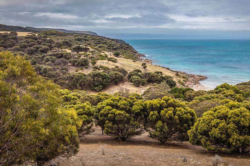 Sea Dragon Kangaroo Island Bed & Breakfast Penneshaw Exterior photo