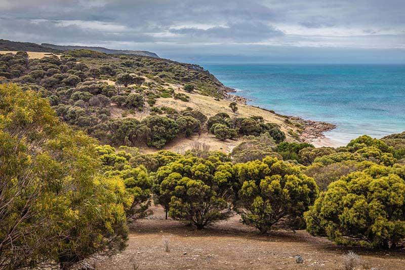 Sea Dragon Kangaroo Island Penneshaw Exterior photo